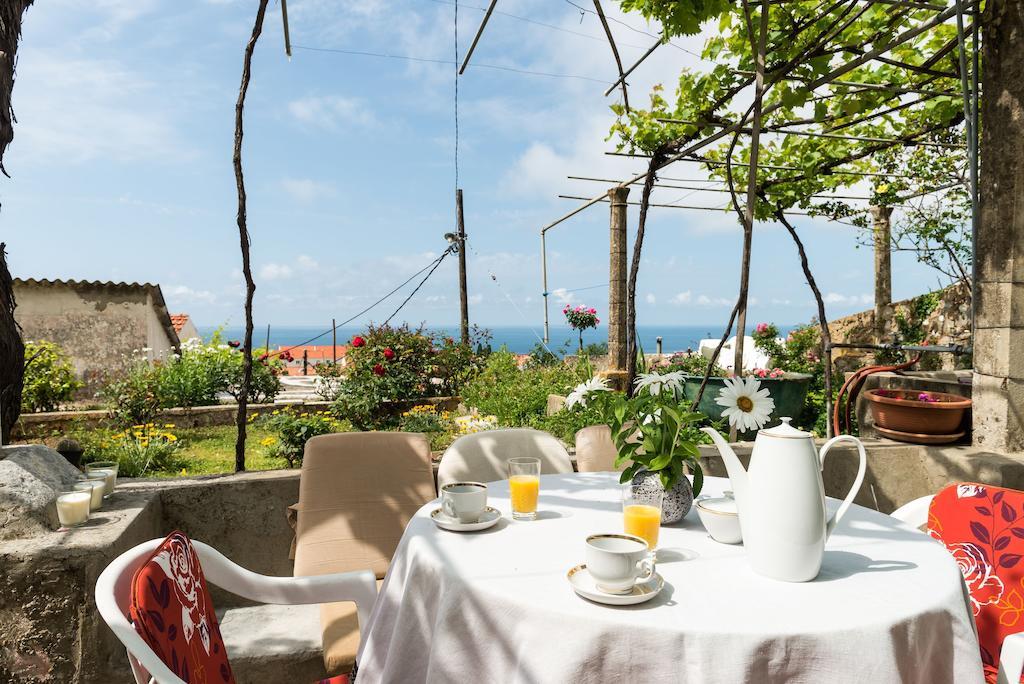 House Verde - Private House With Seaview Dubrovnik Kamer foto